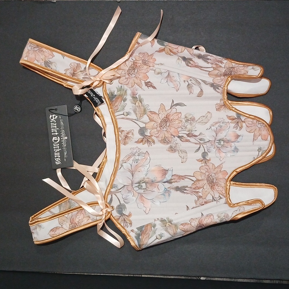 Renaissance Scarlett Darkness Corsett- Pink and Iight Gold. NWT.